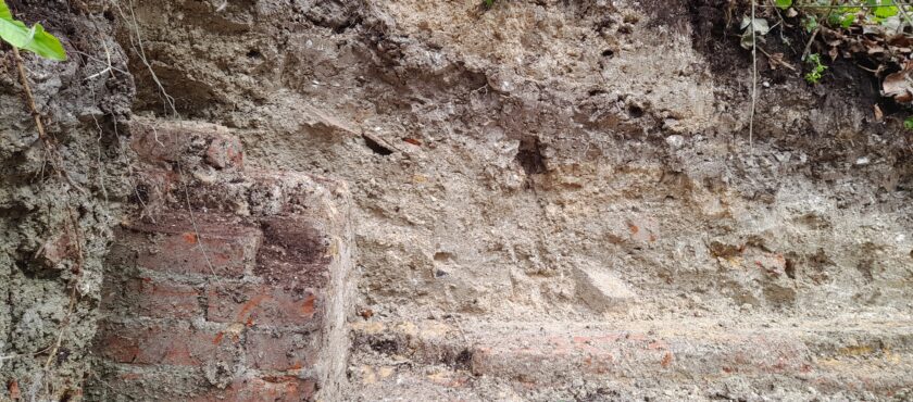 At the Dig : Day 4 – 30th March 2026 a quick tidy